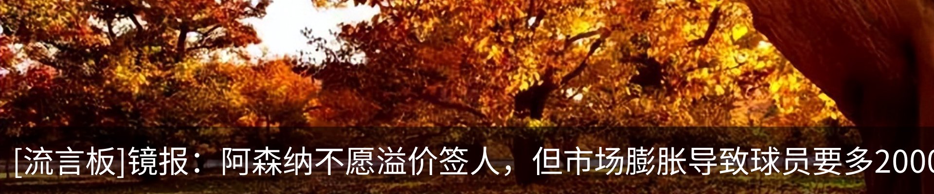 行业资讯
